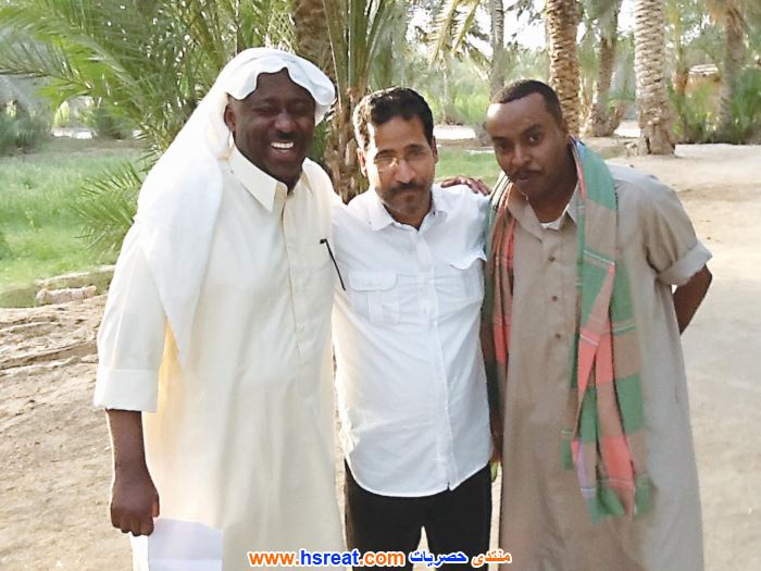 أحمد-مجلي-4.jpg