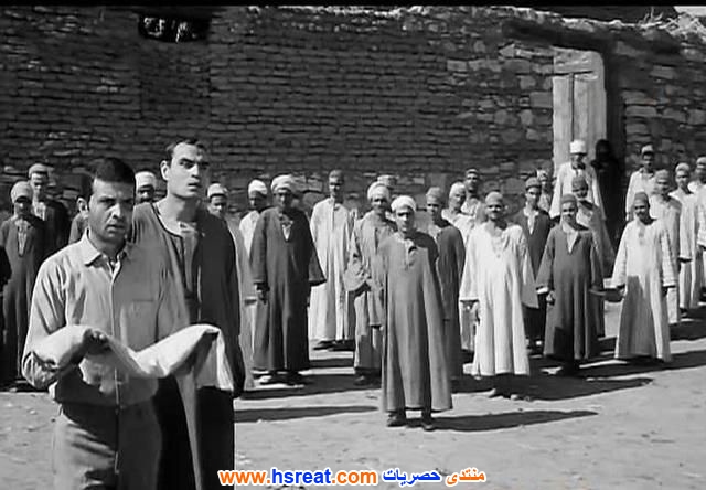 أحمد-مرعي-7.jpg