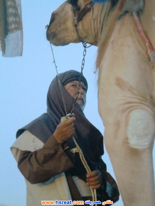 أحمد-مشتهى-7.jpg