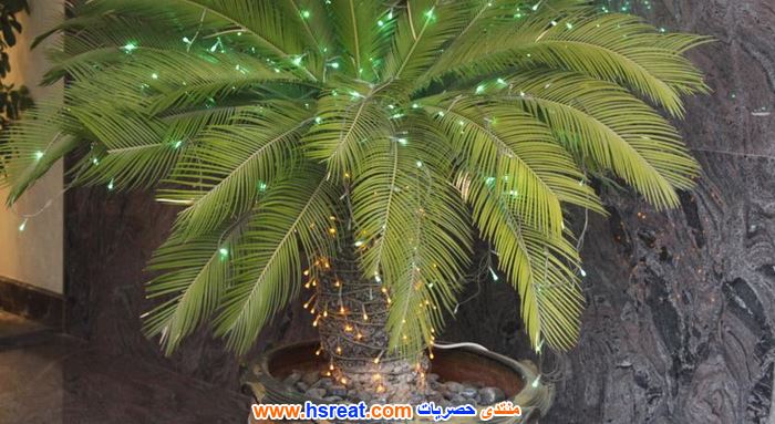 اكاس-ان-للشقق-الفندقية--7.jpg