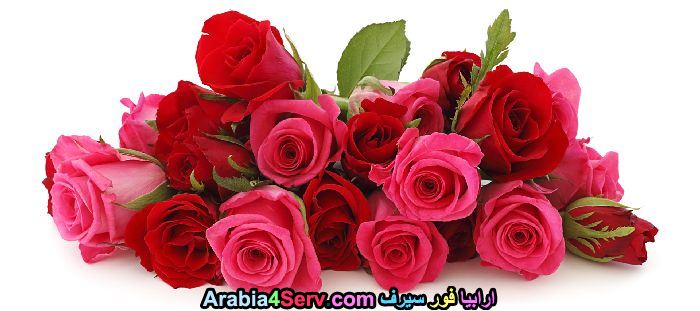 بوكيهات-زهور-رقيقة-و-جميلة-جدا-10.jpg