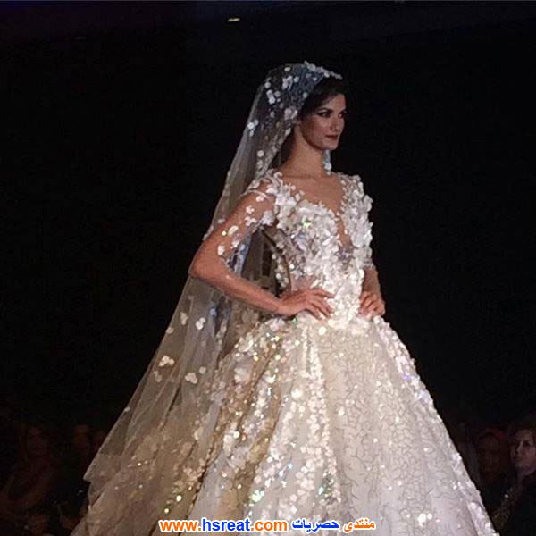 تارا-عماد-5.jpg