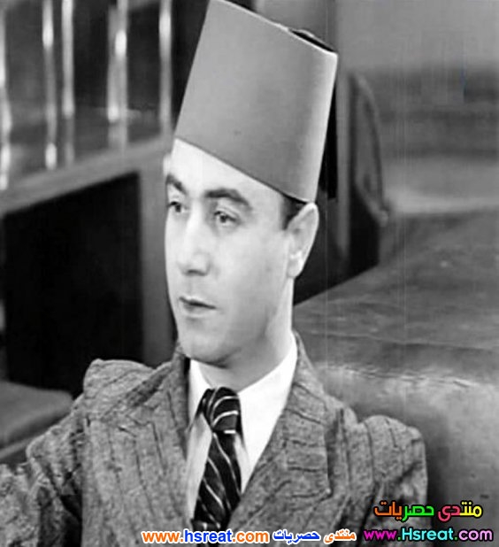 توجو-مزراحي-4.jpg