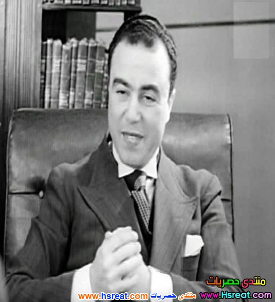 توجو-مزراحي-5.jpg
