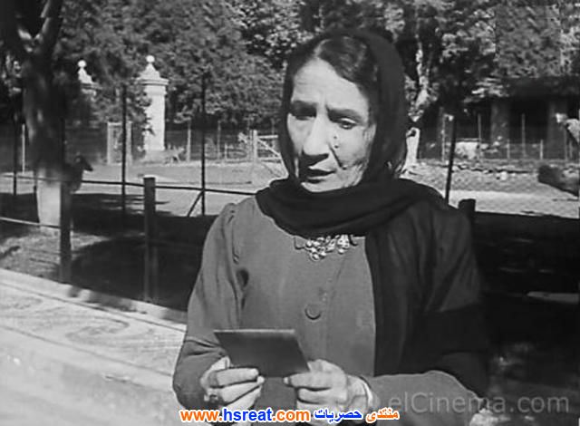 جراسيا-قاصين-5.jpg