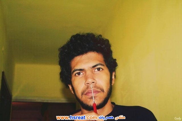 حسام-كمال-2.jpg