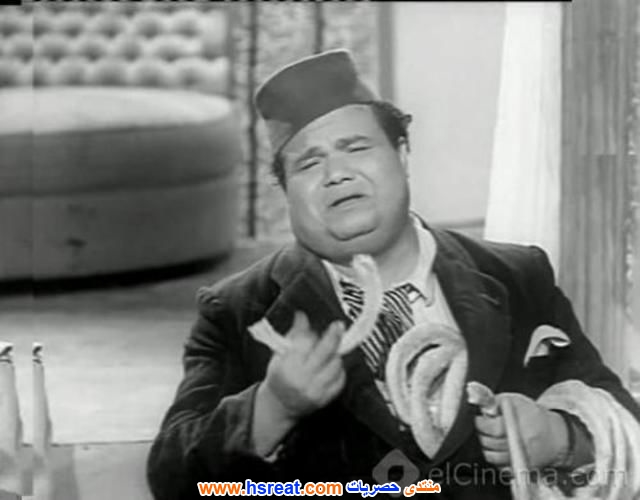 حسن-أتلة-5.jpg