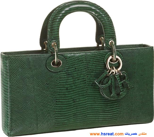 حقائب-ديور-باللون-الزيتي-12.jpg