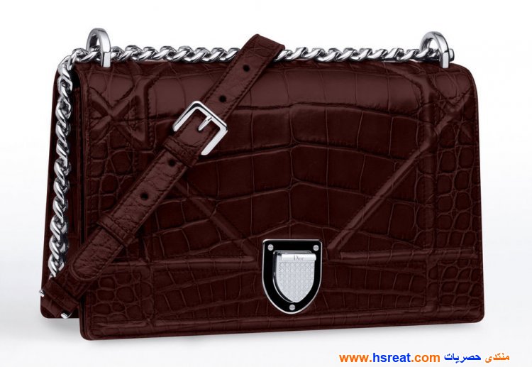 حقائب-ديور-باللون-العنابي-8.jpg