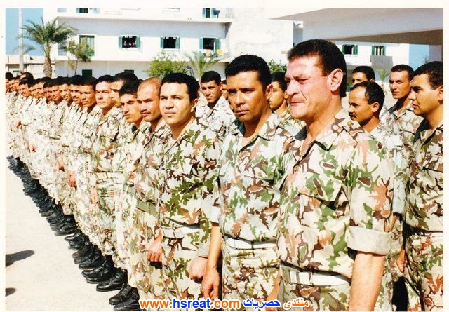 حمدي-هيكل-7.jpg