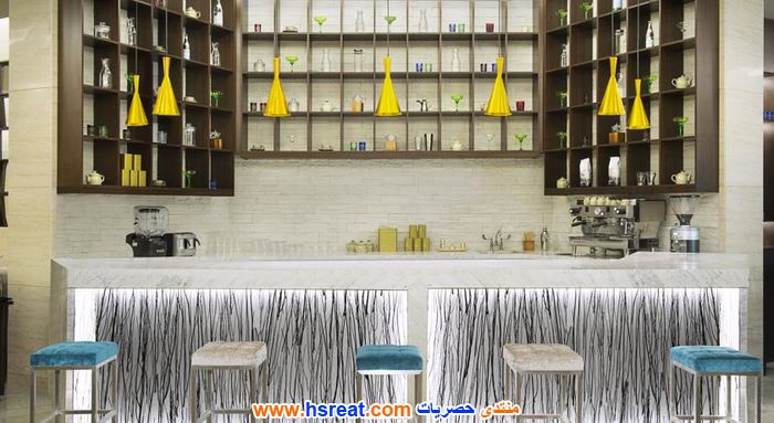 داماك-ميزون-دي-فيل-بريز-14.jpg