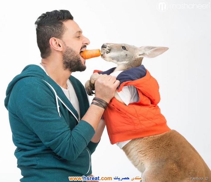 رامز-جلال-9.jpg