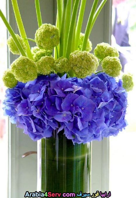 زهور-لونها-ازرق-جميلة-جدا-2.jpg