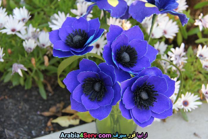 زهور-وورود-زرقاء-اللون-10.jpg