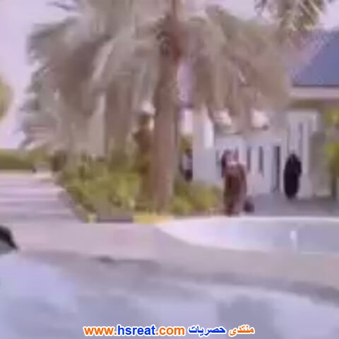 سارة-العلي-14.jpg