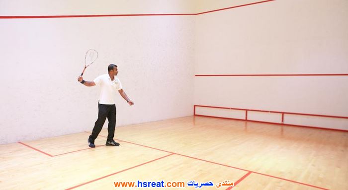 سبا-وقصر-العرين-البحرين-12.jpg