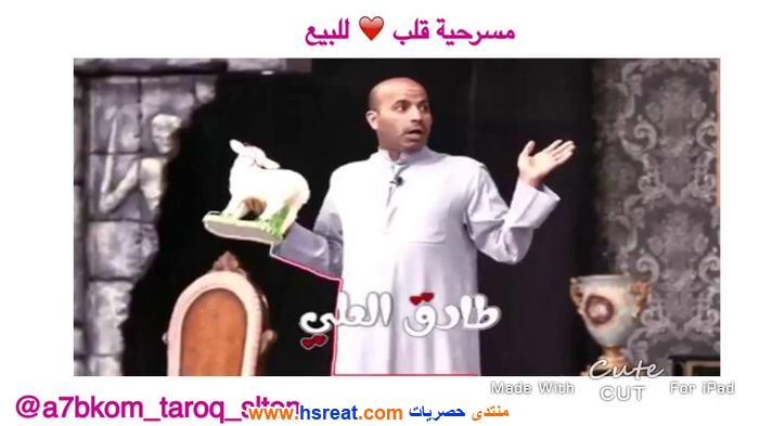 سلطان-العلي-1.jpg
