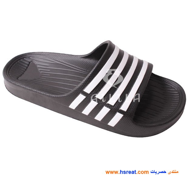سليبرات-أولادي-8.jpg