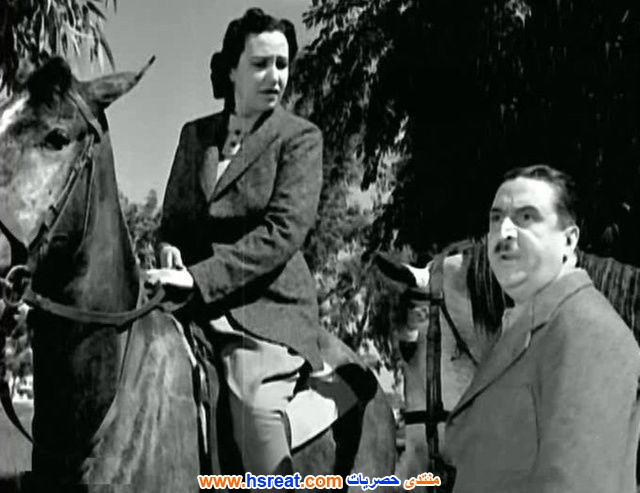 سليمان-نجيب-13.jpg