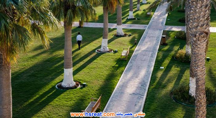 سيلاين-بيتش-10.jpg