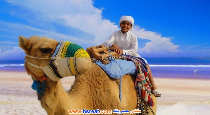 سيلاين-بيتش-7.jpg