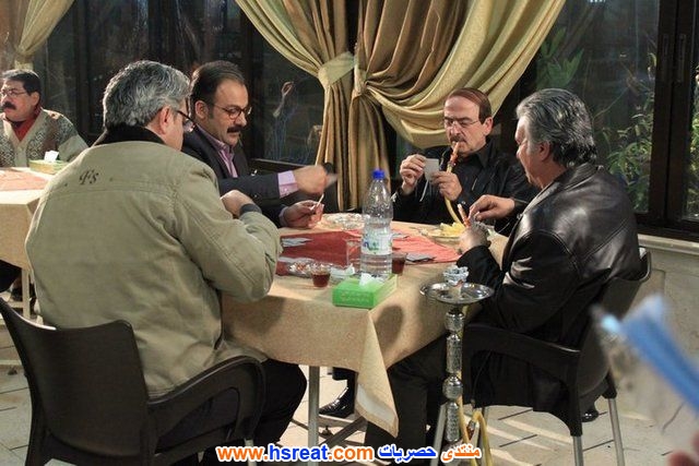 شادي-زيدان-20.jpg