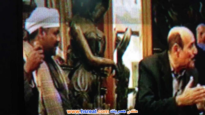 شاكر-القناوي-3.jpg