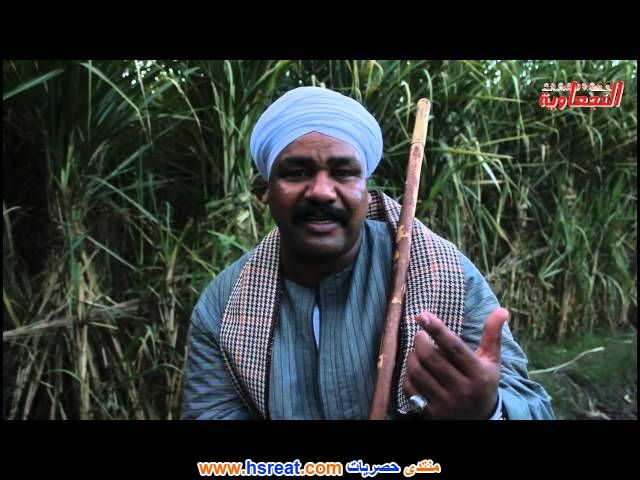 شاكر-القناوي-9.jpg