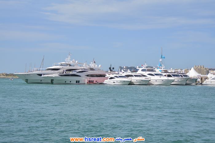 شركة-ملاحة-الخليج-2.jpg