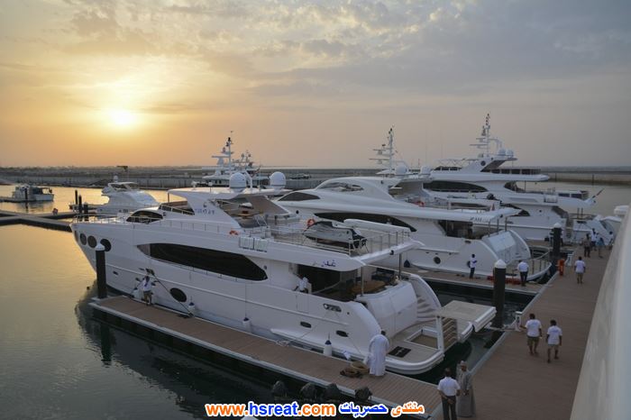 شركة-ملاحة-الخليج-4.jpg