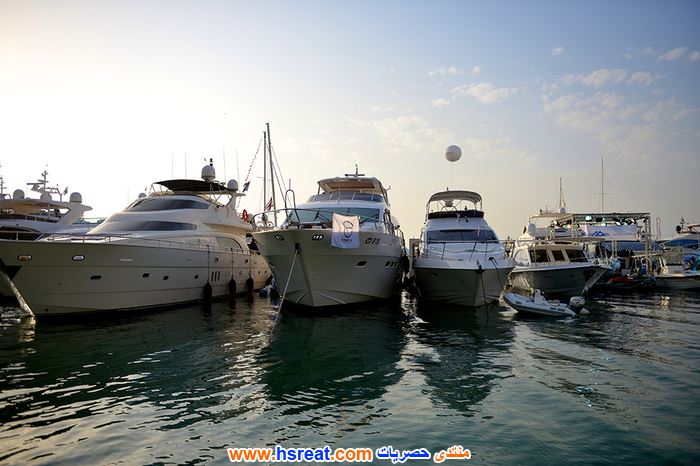 شركة-ملاحة-الخليج-8.jpg