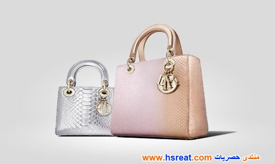 شنط-ديور-12.jpg