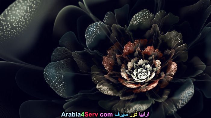 صور-زهور-سوداء-عجيبة-و-غريبة-طبيعية-16.jpg