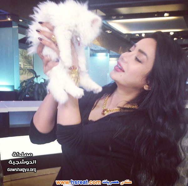 صور-لوجين---احدث-و-اجمل-صور-لوجين-7.jpg