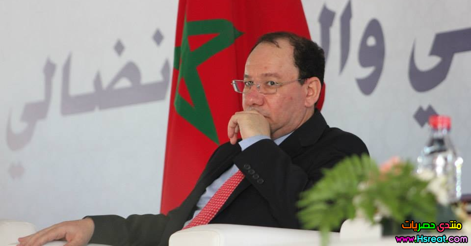 صور-وائل-قنديل-2.png