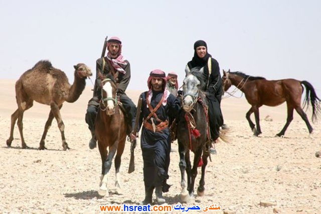 طارق-زياد-14.jpg