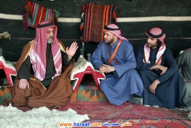 طارق-زياد-17.jpg