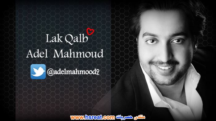 عادل-محمود-8.jpg
