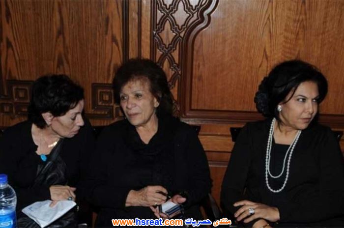 عايدة-عبد-العزيز-9.jpg
