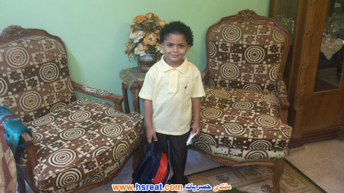 عمار-شوقي-2.jpg