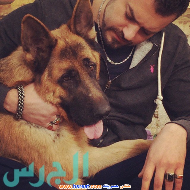 عمرو-يوسف-17.jpg
