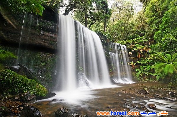 غرائب-و-عجائب-الدنيا-12.jpg