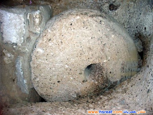 غرائب-و-عجائب-الدنيا-13.jpg