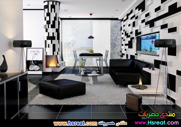غرفة معيشة اسود في ابيض.jpg