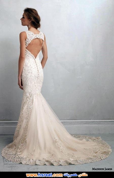 فساتين-زفاف-سمكة-85.jpg