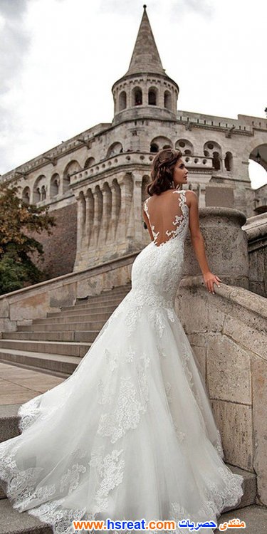 فساتين-زفاف-مكشوفة-الظهر-3.jpg