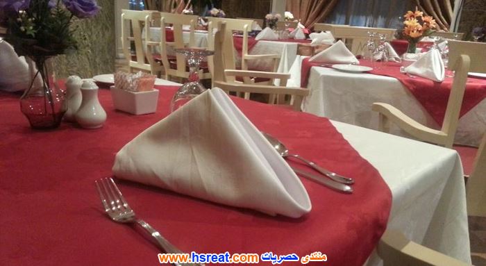 فندق-النخيل-5.jpg