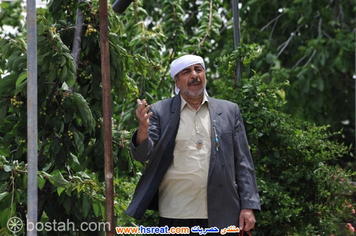 فوزي-بشارة-6.jpg