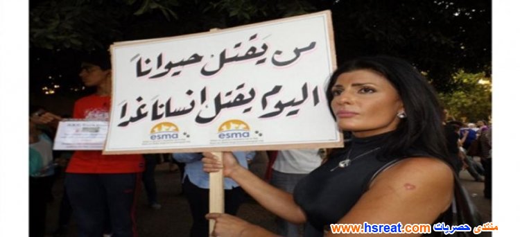 فيدرا-11.jpg
