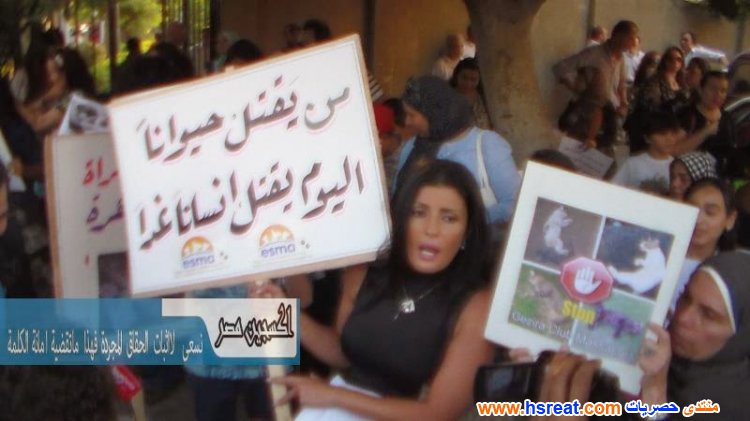فيدرا-3.JPG